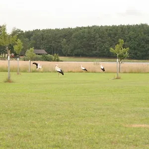 Haeusla Vakantiehuis Dannberg